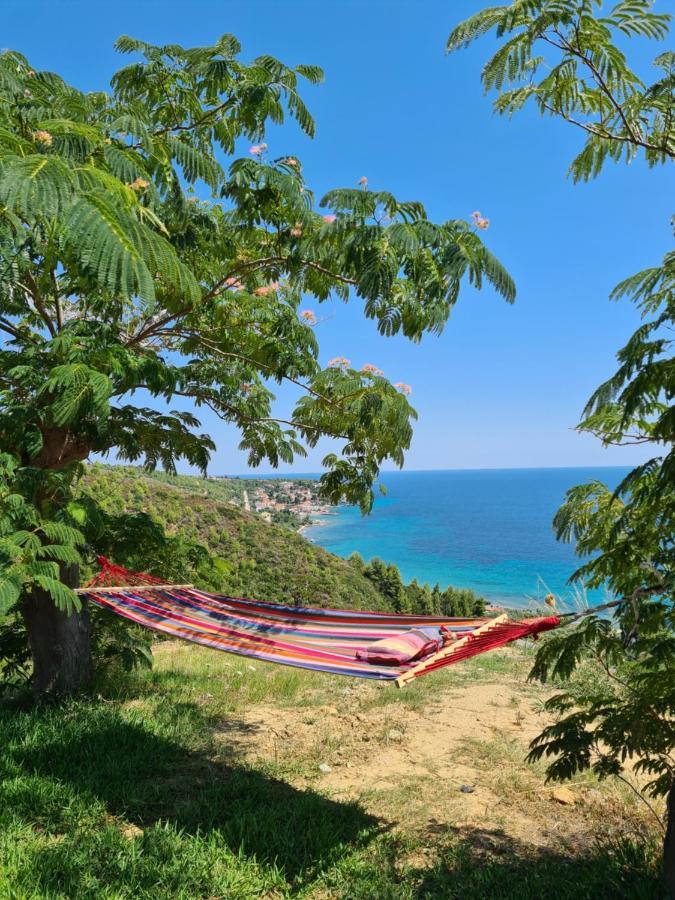 Greco Paradise Suites - Adult Only 尼尔斯吉尼 外观 照片